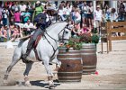 Pferd International 104